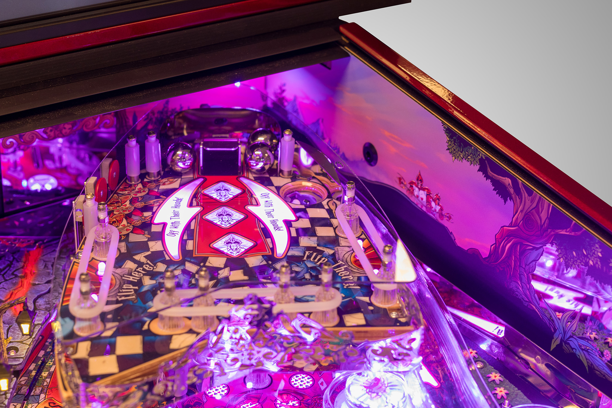Alice's adventures in Wonderland by Dutch Pinball Exclusive