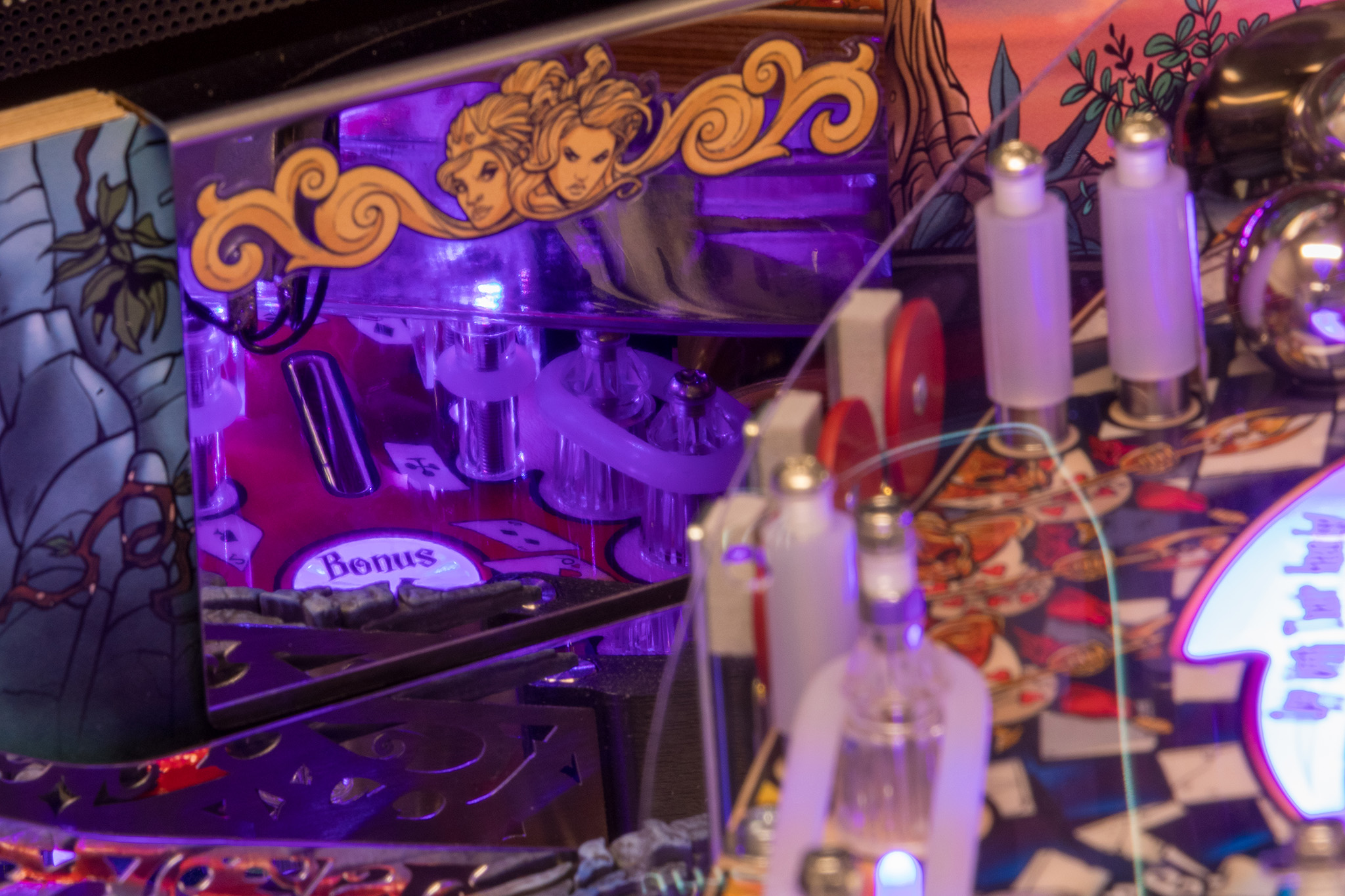 Alice's adventures in Wonderland by Dutch Pinball Exclusive